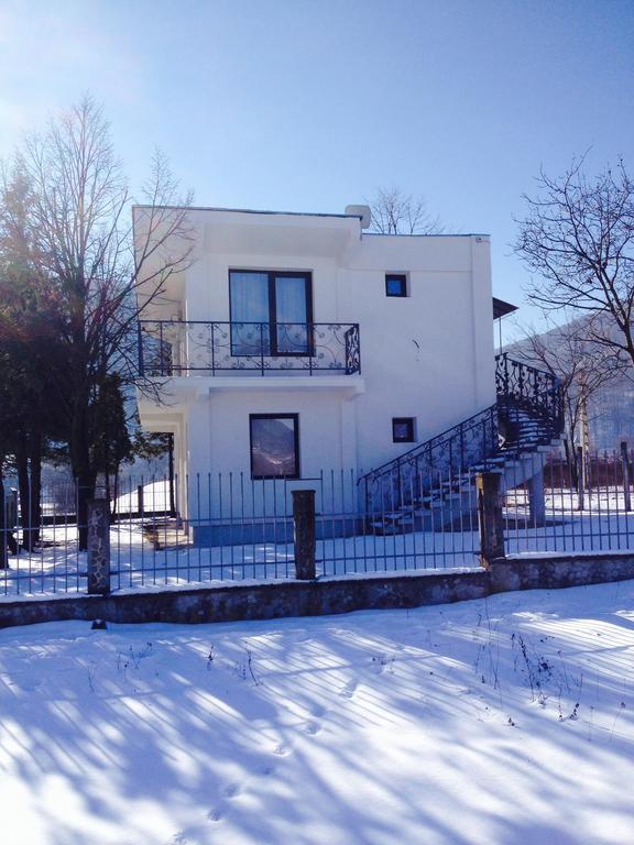 Vila Blanca Alexandru cel Bun Стая снимка