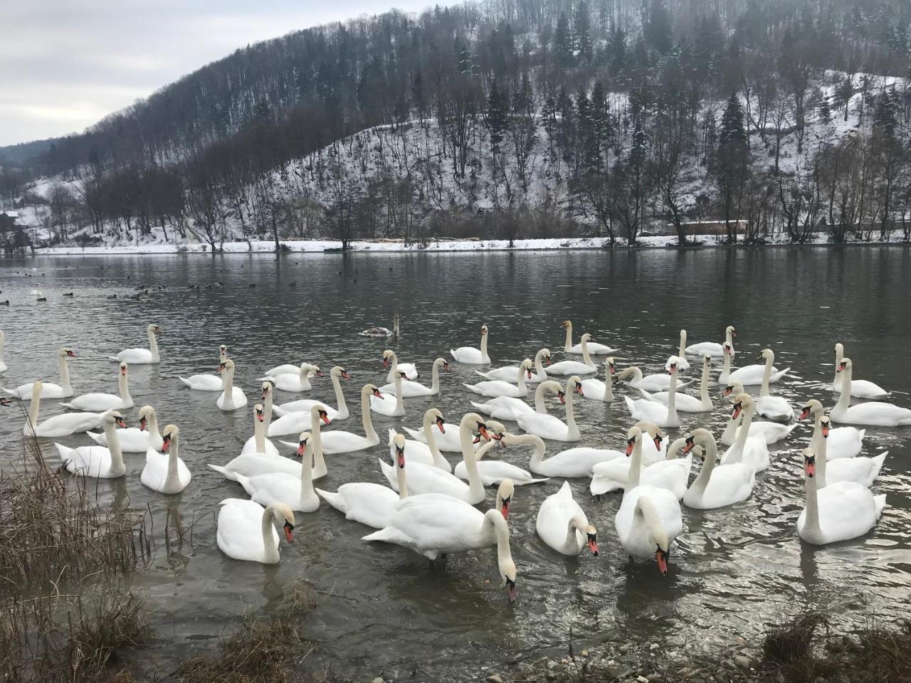 Vila Blanca Alexandru cel Bun Екстериор снимка